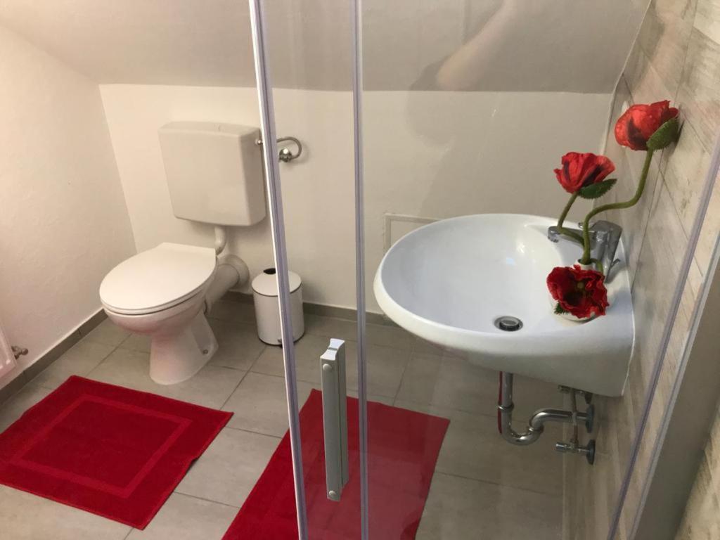 Haus Astenblick In Winterberg Fuer Bis Zu 35 Personen Fuer Wanderveranstaltungen Und Familienfeiern Dış mekan fotoğraf
