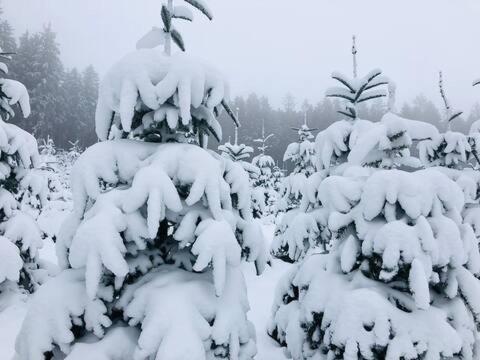 Haus Astenblick In Winterberg Fuer Bis Zu 35 Personen Fuer Wanderveranstaltungen Und Familienfeiern Dış mekan fotoğraf